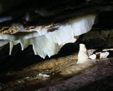 Vercors 2008, Grotte de la Ture…